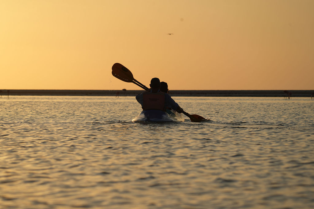 Tour en Kayak