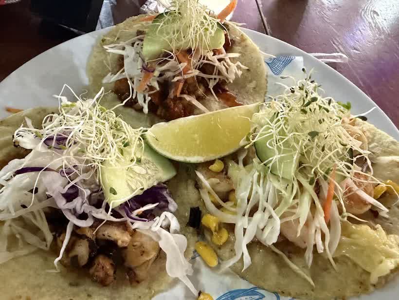 El Pulpo y El Camaron Holbox en Holbox, foto 3