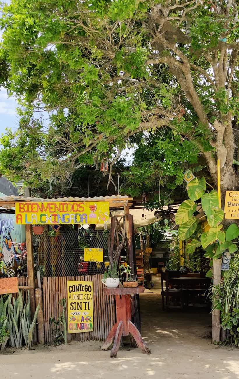 LA CHINGAD@ en Holbox, foto 3