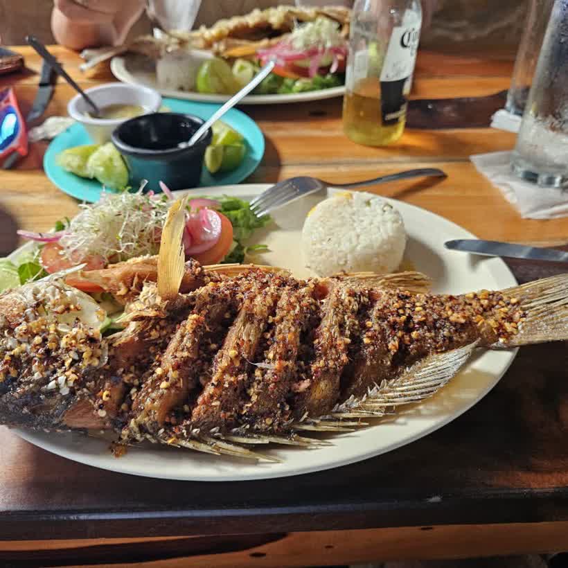 Las Panchas en Holbox, foto 3