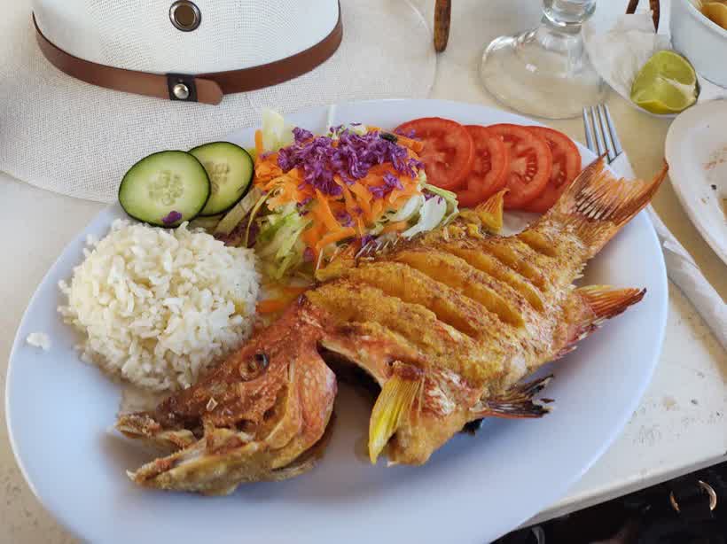 Mantarraya Beach Club & Hammocks en Holbox, foto 2