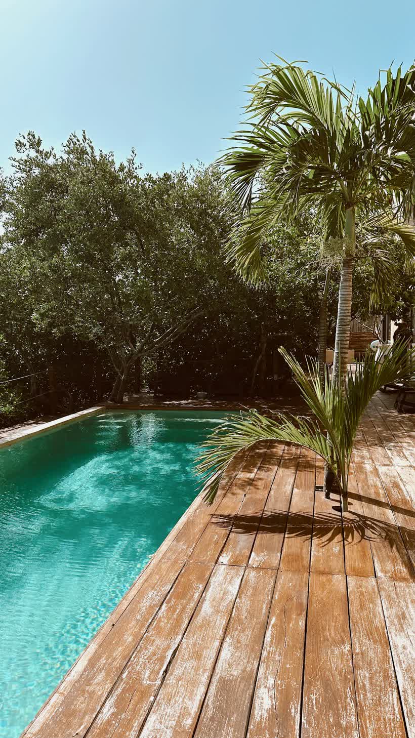 Piquete Holbox en Holbox, foto 3