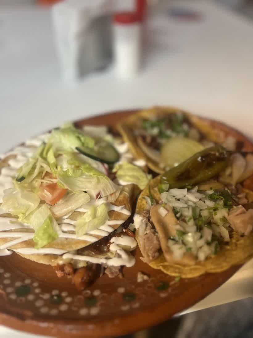 Taco mokieras en Holbox, foto 2