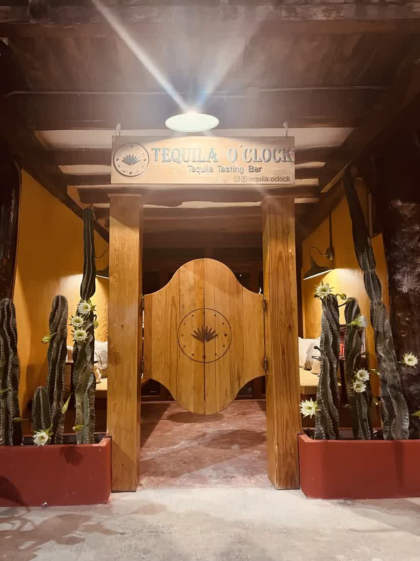 Tequila O'clock en Isla Holbox