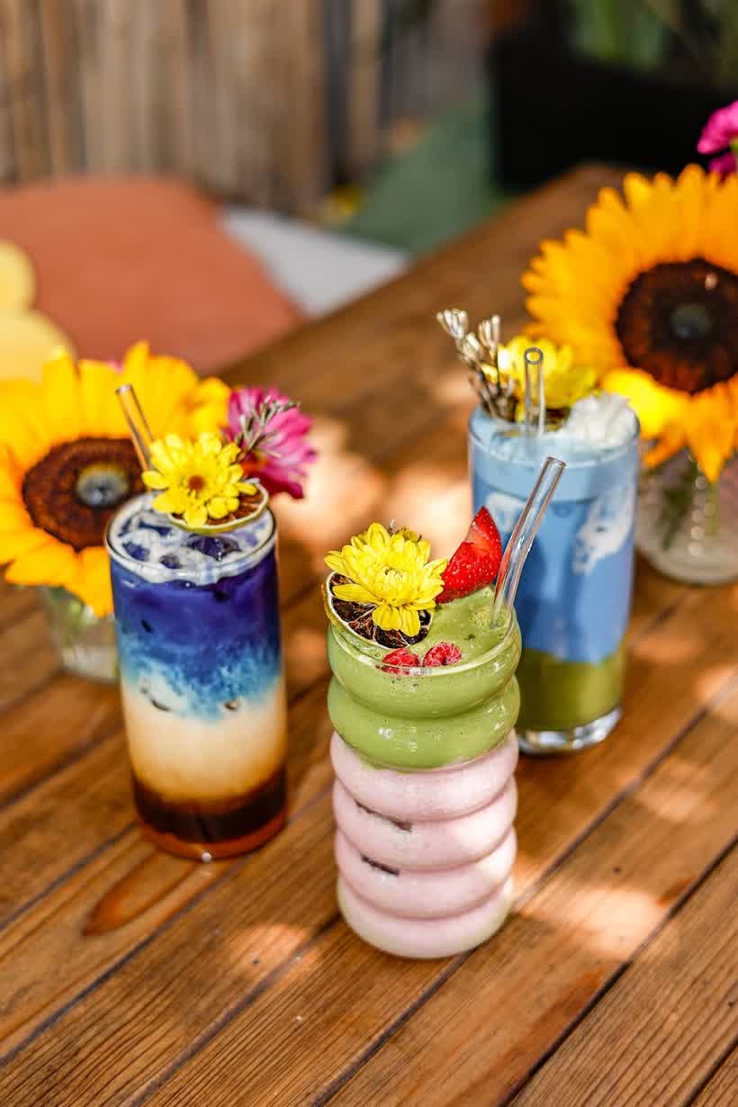 Zonnebloem Holbox Coffee & Breakfast en Holbox, foto 3